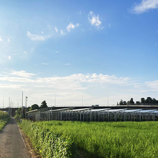 日本の太陽光発電農地設置システム-1MW